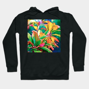 Colorful Tea Leaf Hoodie